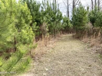 0 N Broadridge Rd unit 100444947, Orrum, NC 28369 - photo 7