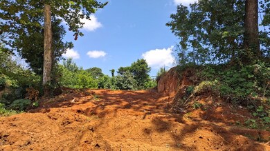 0 Gray Academy Rd unit 161240, Ashland, MS 38603 - photo 3