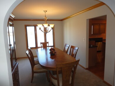 213 Grafton Place, Matteson, IL 60443 - photo 6