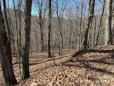 692 Oak Ridge , Wolf Laurel 2nd view