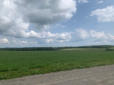 View to the east from driveway leading to land