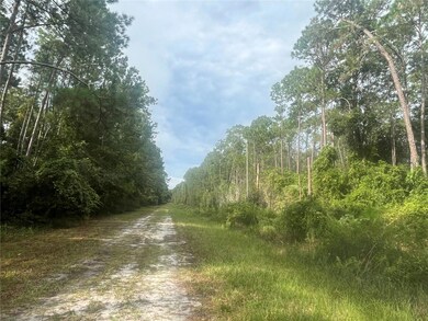 107 Pine Ave, Georgetown Cove, FL 32139 - photo 4