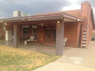Backyard 4