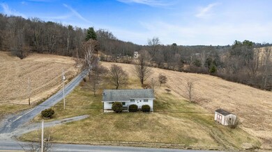 1669 Sylvis Rd, Cherry Tree, PA 15724 - photo 4