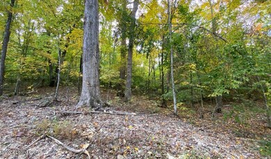 River View Fall276
