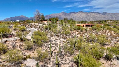 0000 N Camino Kino unit 253, Catalina Foothills, AZ 85718 - photo 2