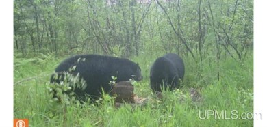 N18104 Perch Lake Rd, Pembine T-Wi, WI 54156 - photo 6