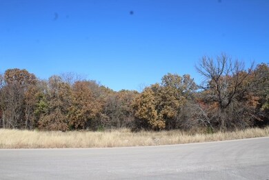 450 Rolling Hills Blvd, Alvord, TX 76225 - photo 3
