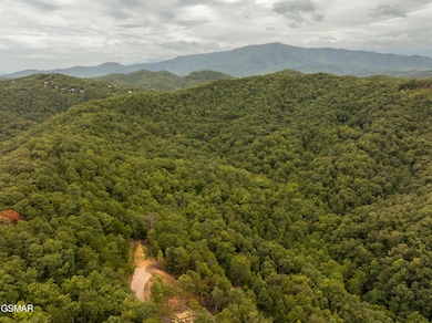 0 Mitchell Hollow Rd unit 304502, Sevierville, TN 37862 - photo 7