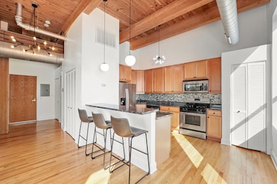 1610 S Halsted St unit 504, Chicago, IL 60608 - photo 4