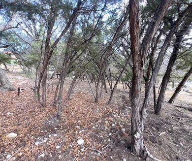 View of local wilderness