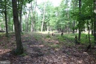 0 Oak Hill Rd unit 1000146823, Moorefield, WV 26836 - photo 5