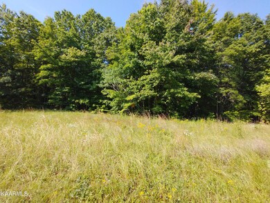Lot 6d