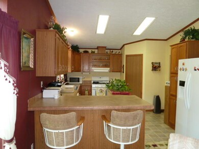Kitchen V 3