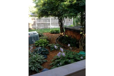 Yard/Garden. Garden in June