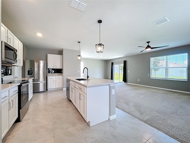 3013 Tansy St, Eustis, FL 32726 - photo 6