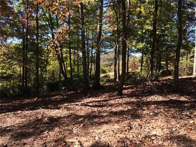 16 Smokey Ridge Trail unit LOT 172, Arden, NC 28704 - photo 5
