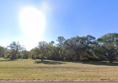 0 Wynne Rd, Trinity, TX 75862 - photo 7