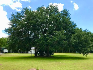 69 Running Deer Ln, Crawfordville, FL 32327 - photo 5