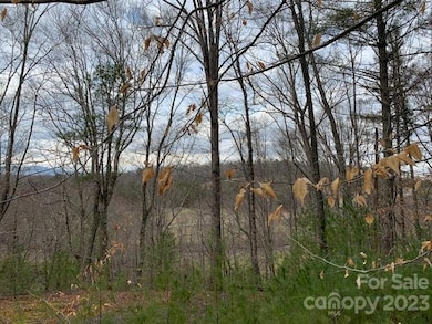 Lot 6 Theresa Terrace unit 6, Nebo, NC 28761 - photo 7