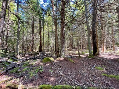 91A S Burnt Cove Road003