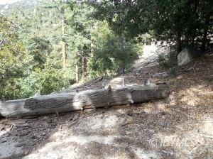road on property