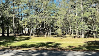 203 Goodman Rd, Pelahatchie, MS 39145 - photo 6