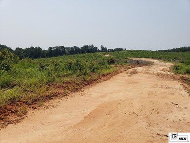 0 Demoss Rd, Eros, LA 71238 - photo 4