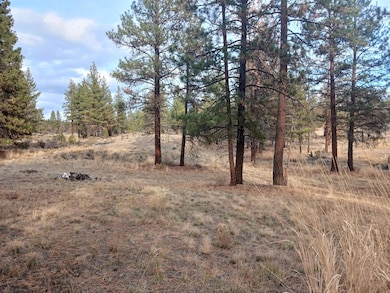 0 Arrowhead Ln unit Lot 20, Chiloquin, OR 97639 - photo 5