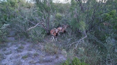 000 Ranch To Market 3008, Brackettville, TX 78832 - photo 4