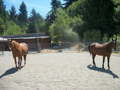14118 232nd Avenue Ct E, Orting, WA 98360 - photo 2