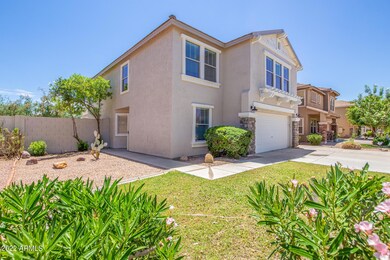 Mature Front Yard Landscaping with Grass