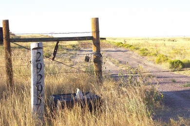 29295 Cr 190 Rd, Deer Trail, CO 80105 - photo 4