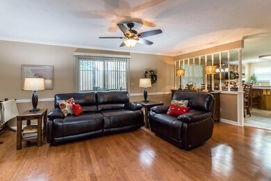 Living Room 4