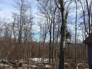 74 Spruce Grove Rd unit M263, Wilmington, VT 05363 - photo 3