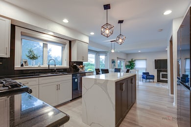 60 E Fabish Dr, Buffalo Grove, IL 60089 - photo 4