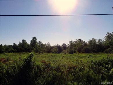Yard.