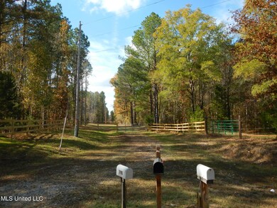 773 Permenter Rd, Camden, MS 39045 - photo 7