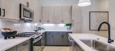 2929 Oak Lawn Ave unit 325, Dallas, TX 75219 - photo 6