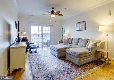 900 Marshy Cove, Cambridge, MD 21613 - photo 4