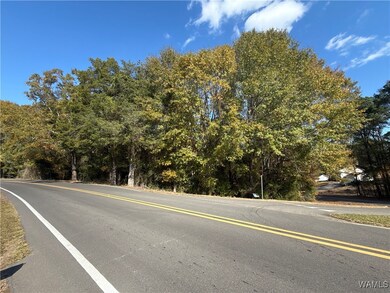 Lot 88 Cypress Creek Ave E, Tuscaloosa, AL 35405 - photo 2