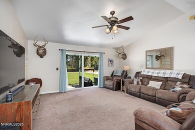 85 Lewis Ln, Fallon, NV 89406 - photo 6