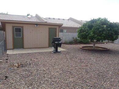 Backyard workshop with power, and citrus