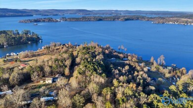 5.58 ac Rachel Rd, Langston, AL 35755 - photo 7