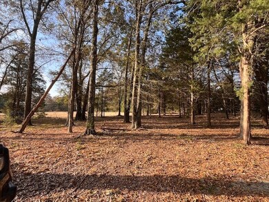 3111 Farm To Market 38, Honey Grove, TX 75446 - photo 3