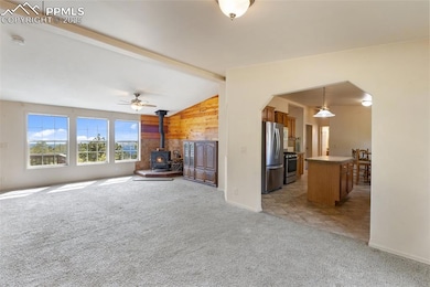 771 Moffat Dr, Cripple Creek, CO 80813 - photo 7