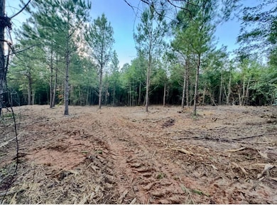 0 Arvada Dr unit 24059220, Northport, AL 35473 - photo 5