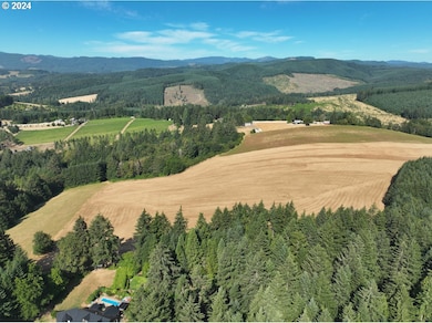 45035 NW Star St, Banks, OR 97106 - photo 4