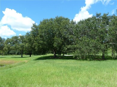 26321 Avenida Las Colinas, Howey In the Hills, FL 34737 - photo 2