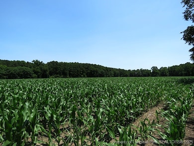 TBD N Carolina 71, Red Springs, NC 28377 - photo 5